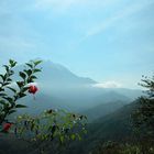 Mount Kinabalu im Morgendunst