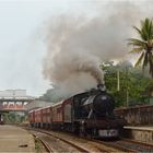 Mount Lavinia Railway III