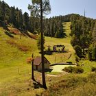 Mount Lemmon