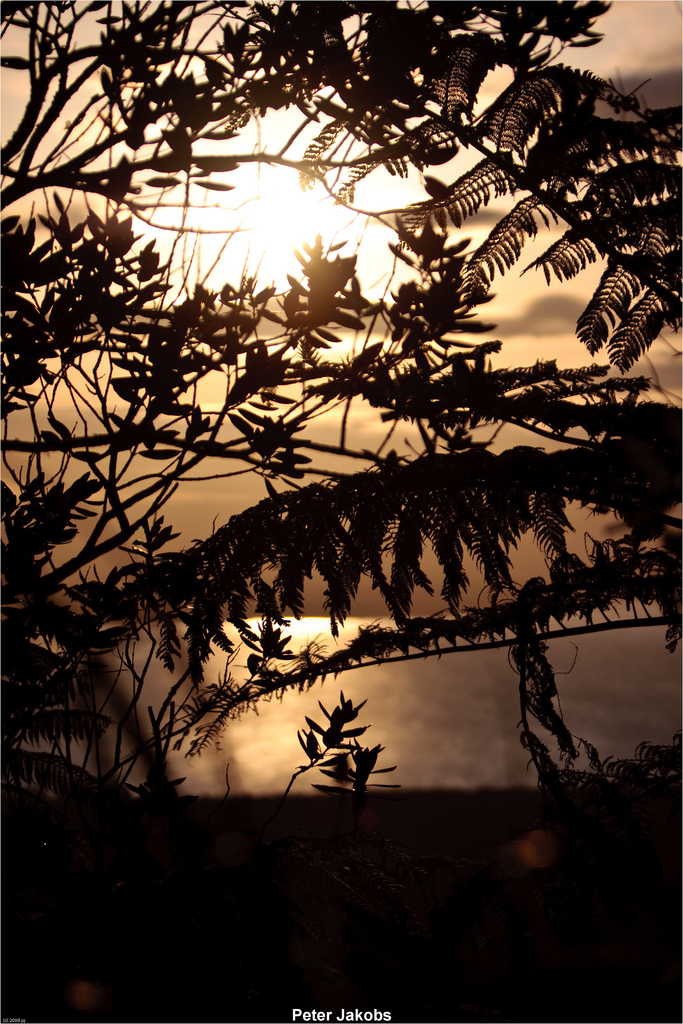 Mount Maunganui Sunset