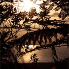 Mount Maunganui Sunset