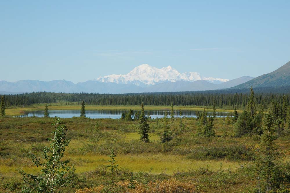 Mount Mc Kinley / Denali