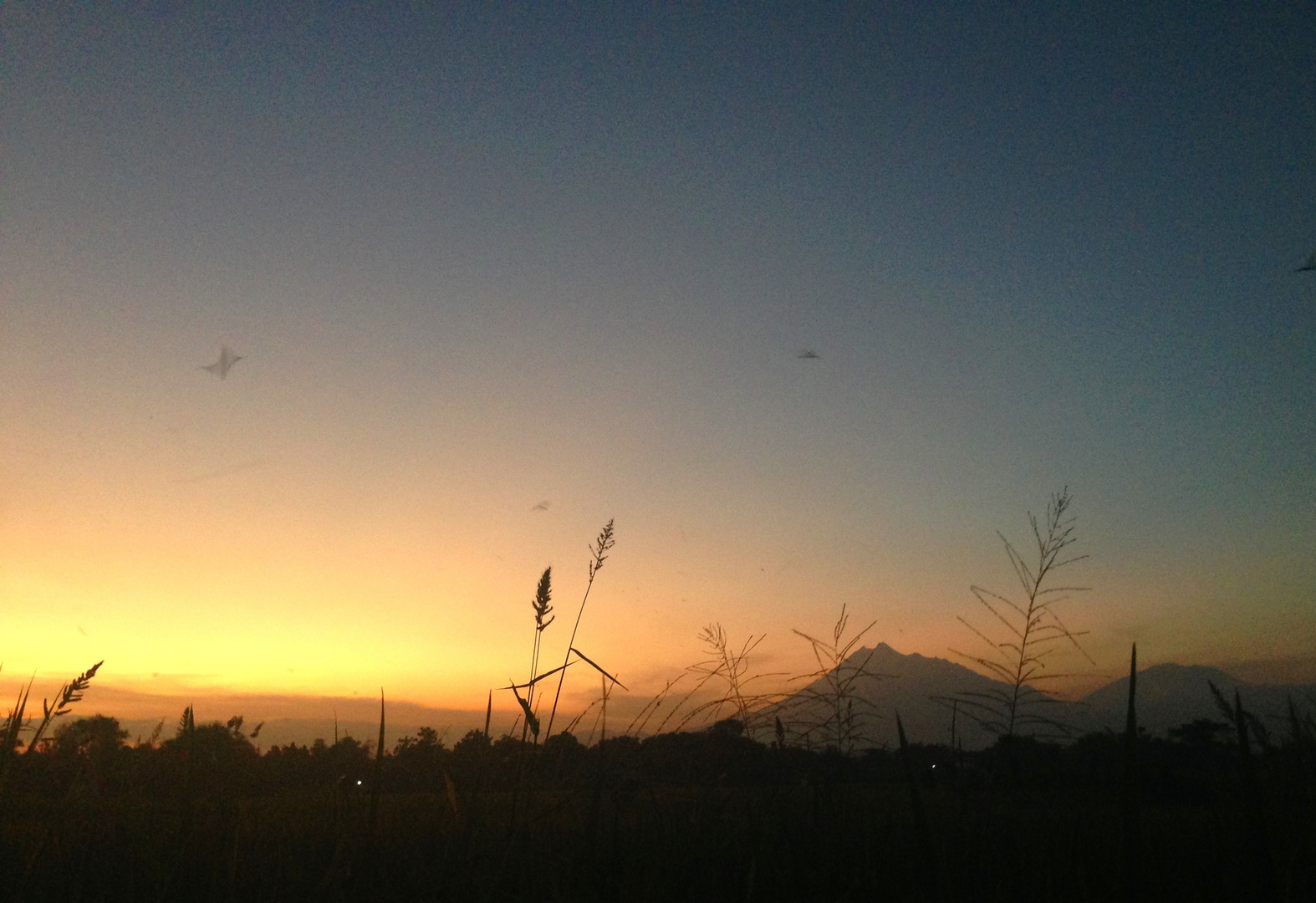 Mount Merapi