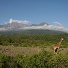 Mount Meru Tansania 2011