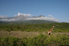 Mount Meru Tansania 2011