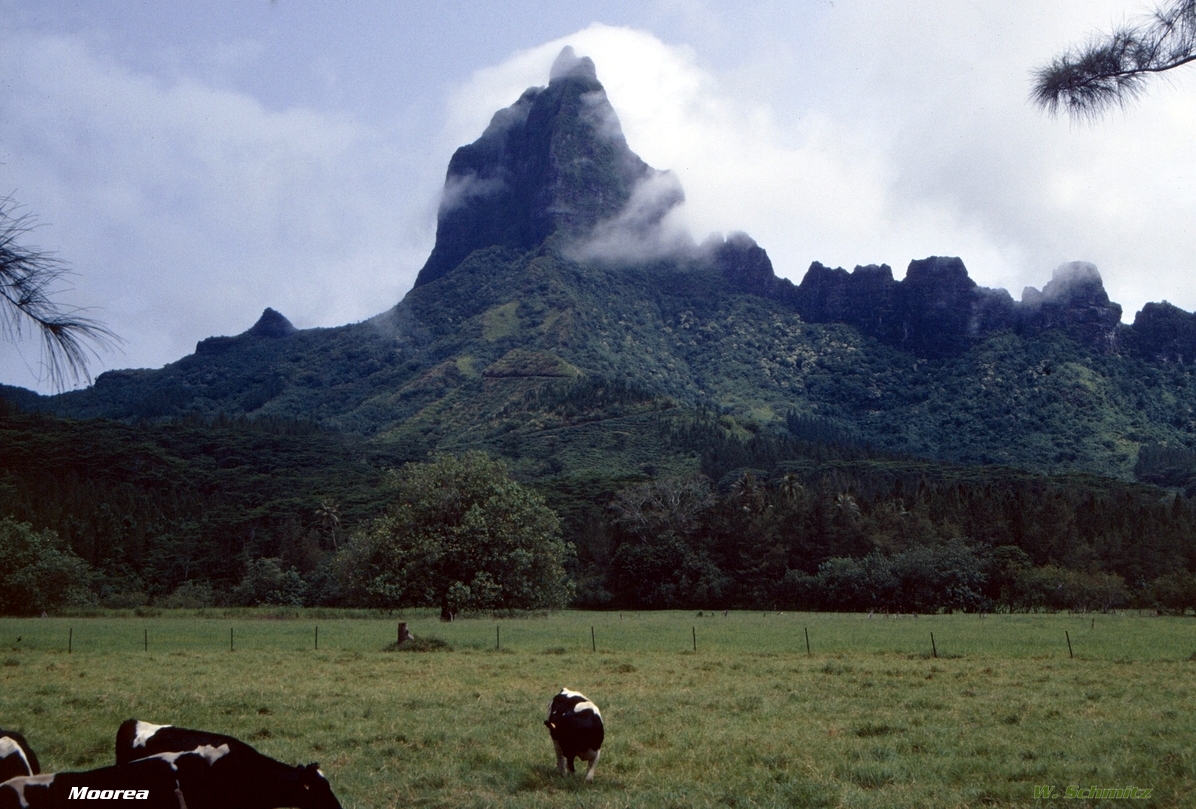 Mount Mouaroa, Moorea, Tahiti