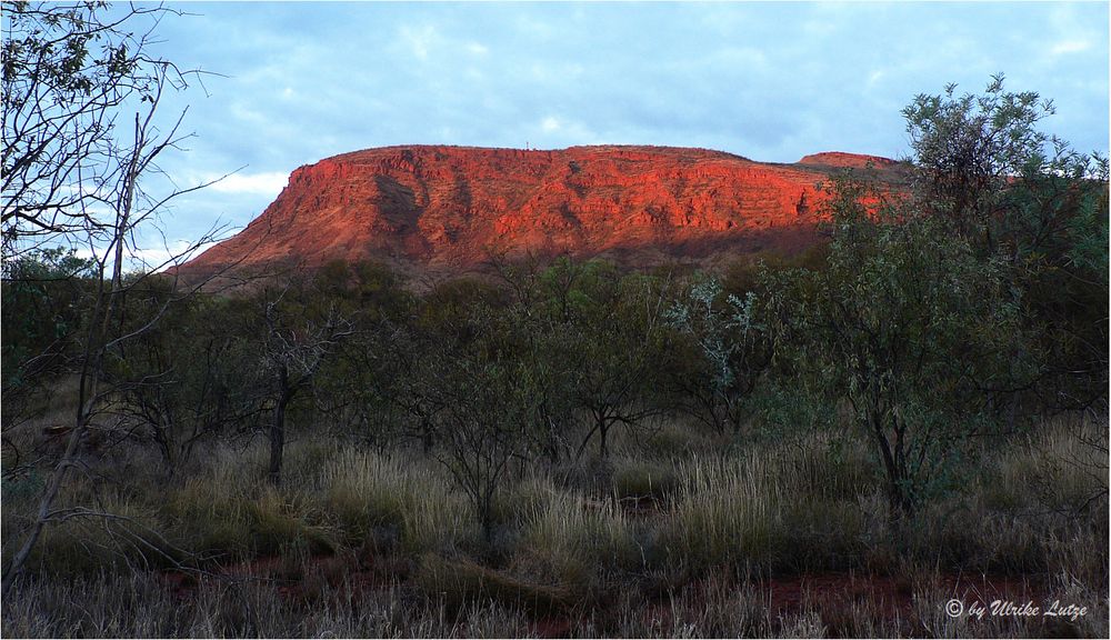 Mount Nameless / near Tom Price *** Foto & Bild australia & oceania