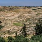 Mount Nebo Jordanien