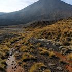 Mount Ngauruhoe