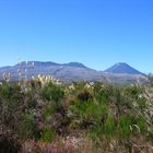 Mount Ngauruhoe