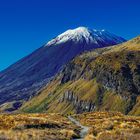 Mount Ngauruhoe