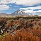 Mount Ngauruhoe, Tongariro Nationalpark, NZ