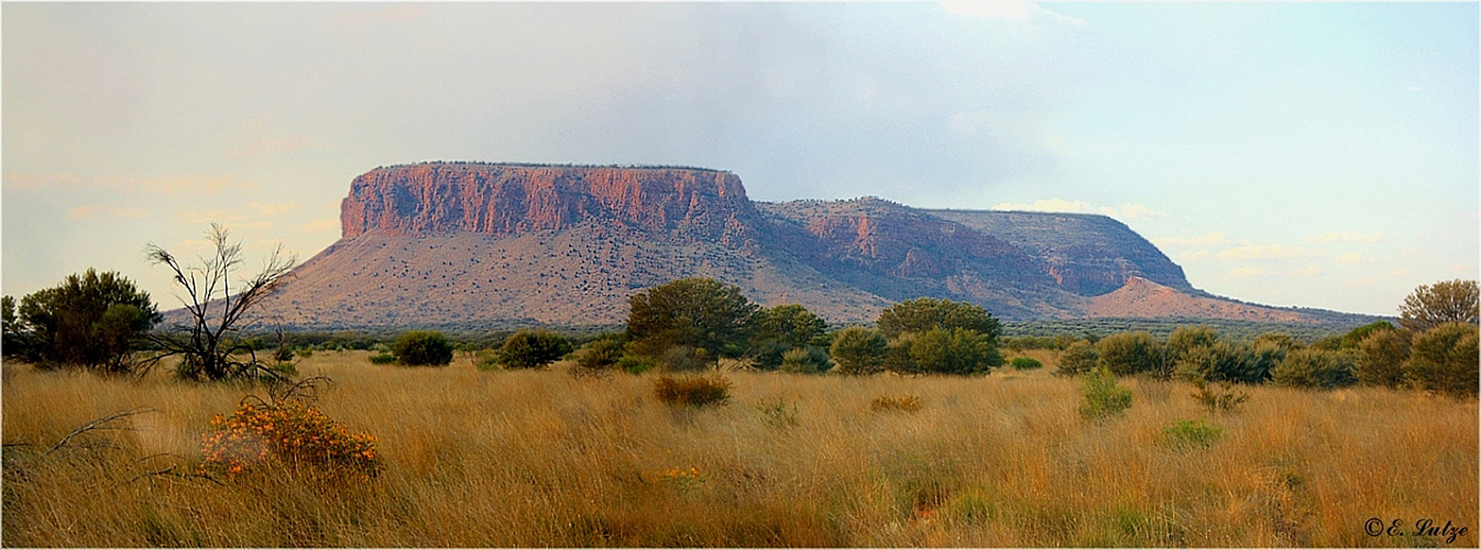 *** Mount O'Conner on Curtin Springs Station ***