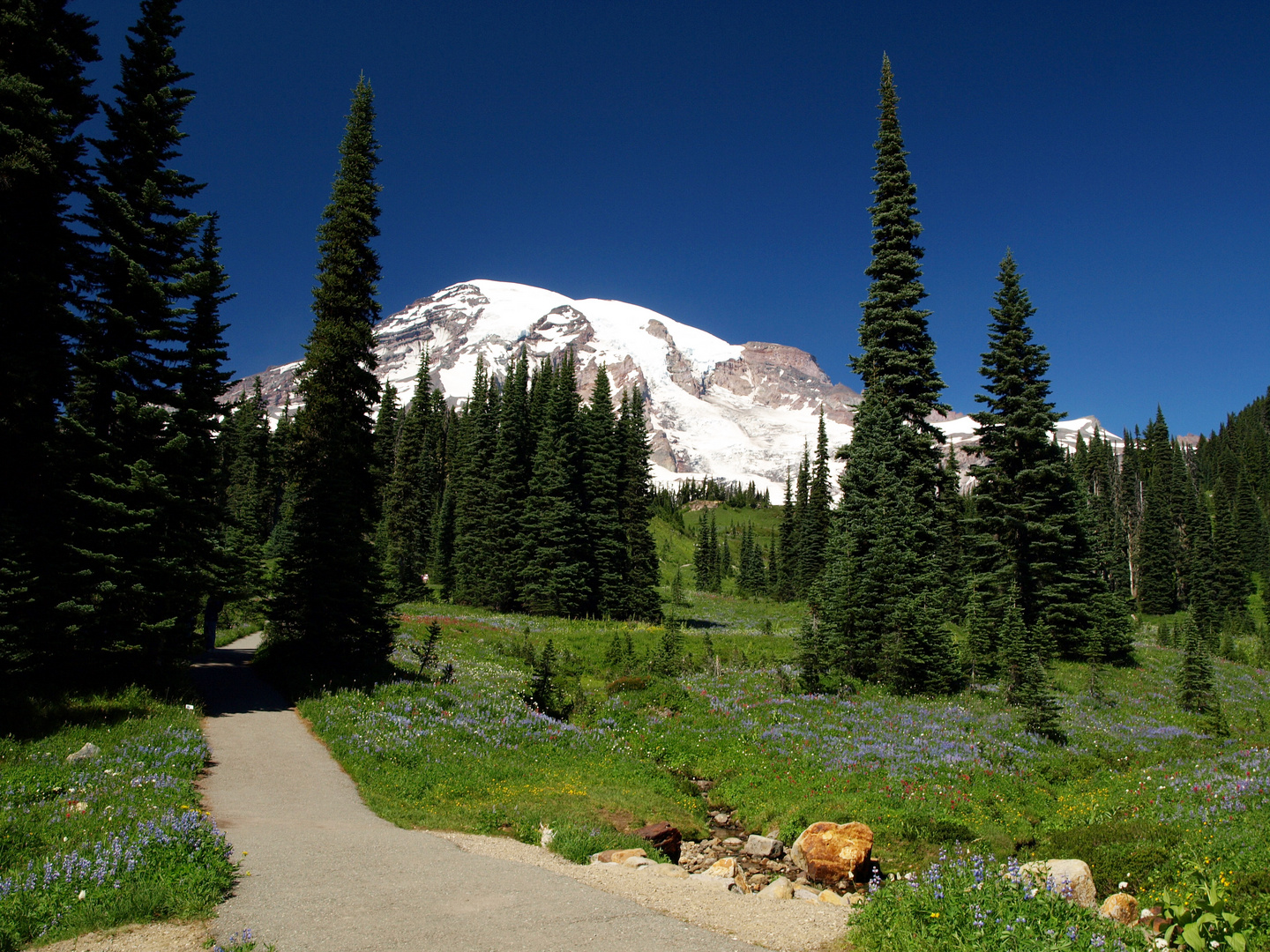 Mount Rainier