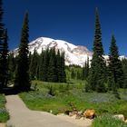 Mount Rainier