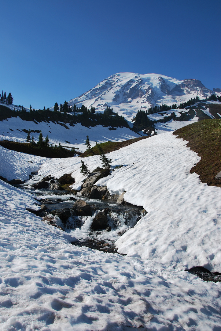 Mount Rainier