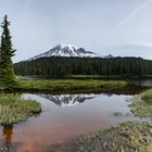 Mount Rainier 