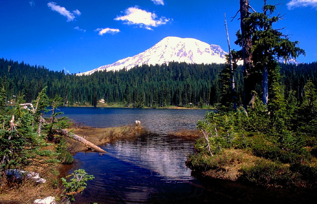 Mount Rainier