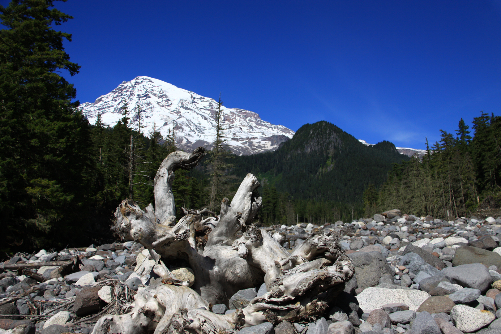 Mount Rainier I