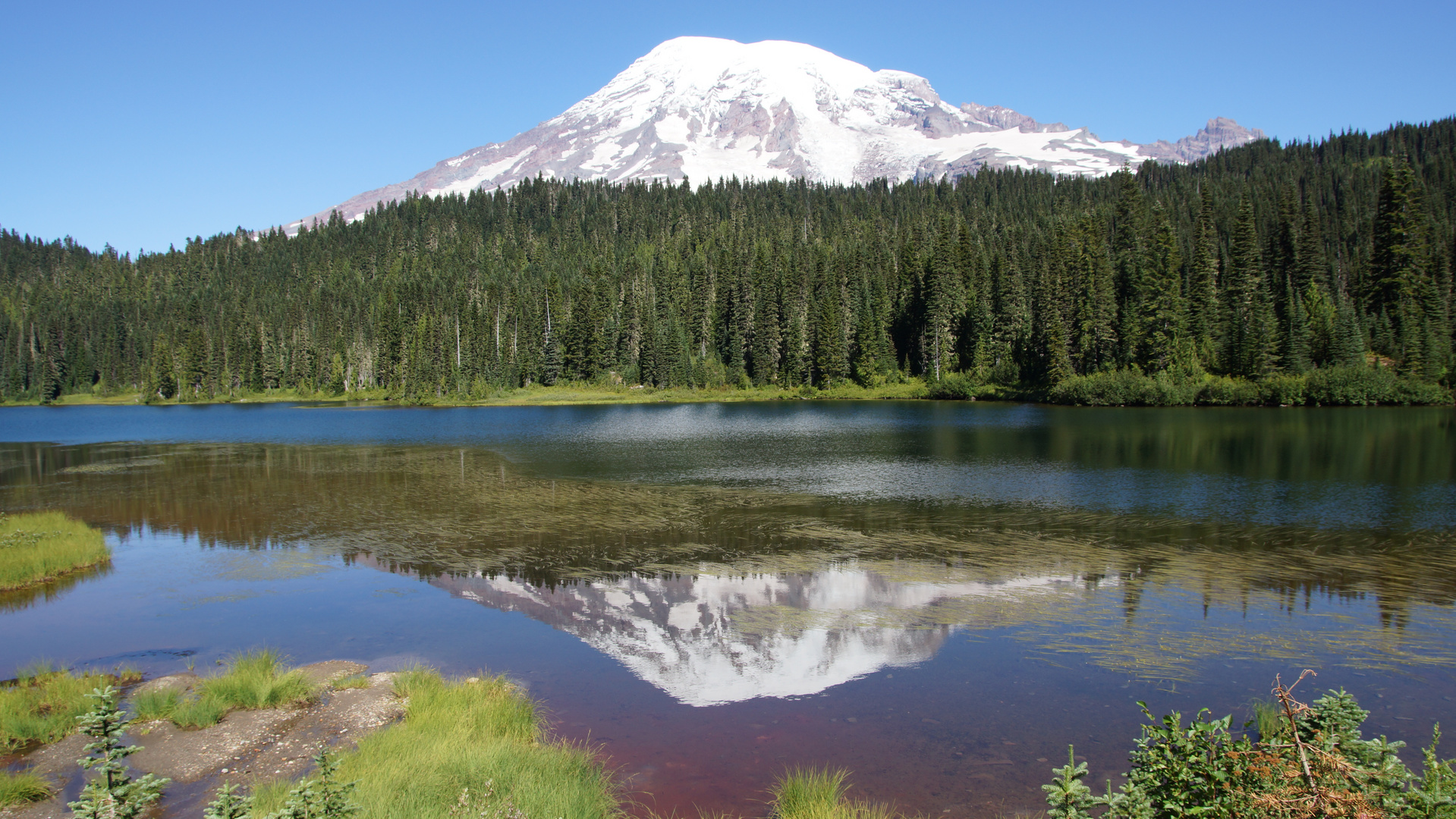 Mount Rainier mit Spiegelbild