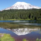 Mount Rainier mit Spiegelbild