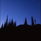 Mount Rainier NP | Reflection Lake