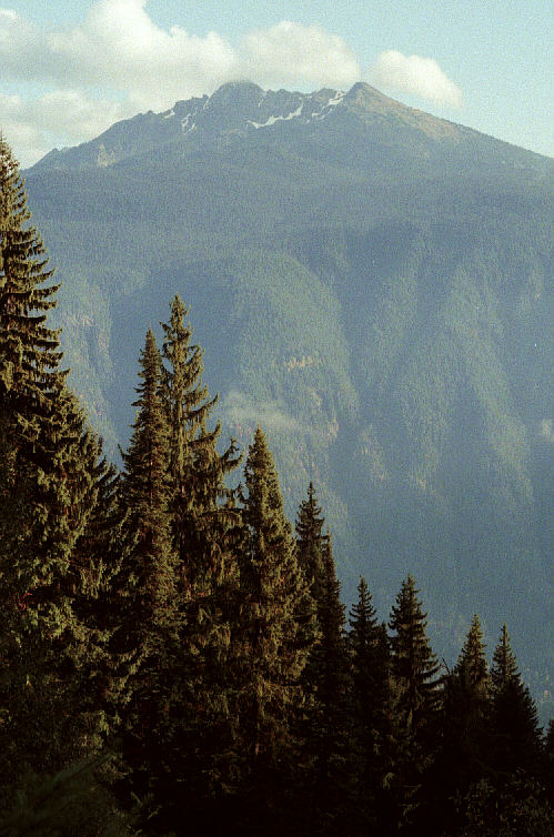 Mount Revelstoke B.C. (2)