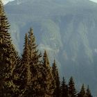 Mount Revelstoke B.C. (2)