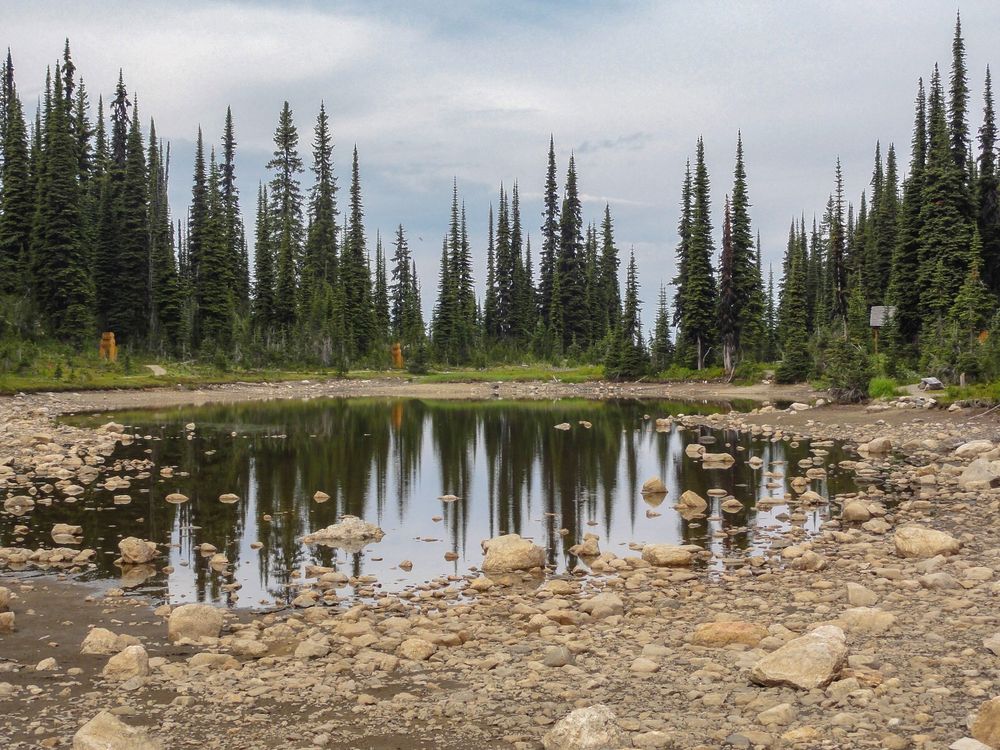 Mount Revelstoke Nationalpark