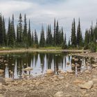 Mount Revelstoke Nationalpark