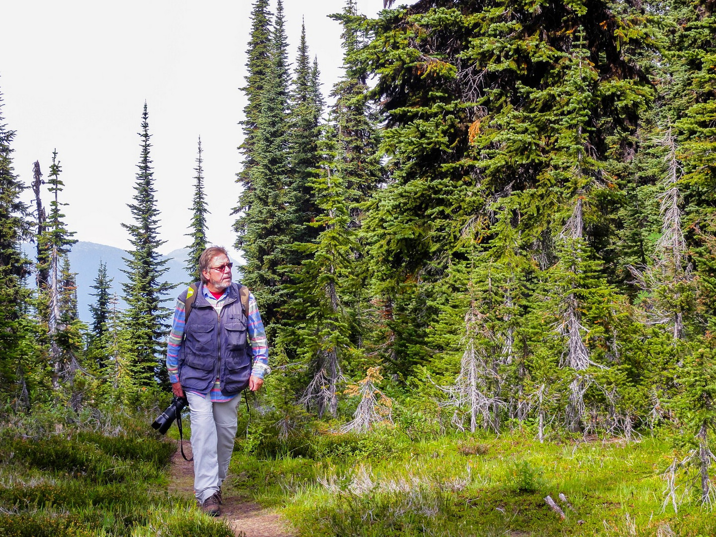 Mount Revelstoke Nationalpark