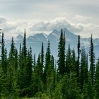 Mount Revelstoke Nationalpark