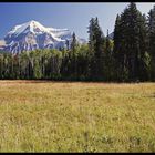 Mount Robson