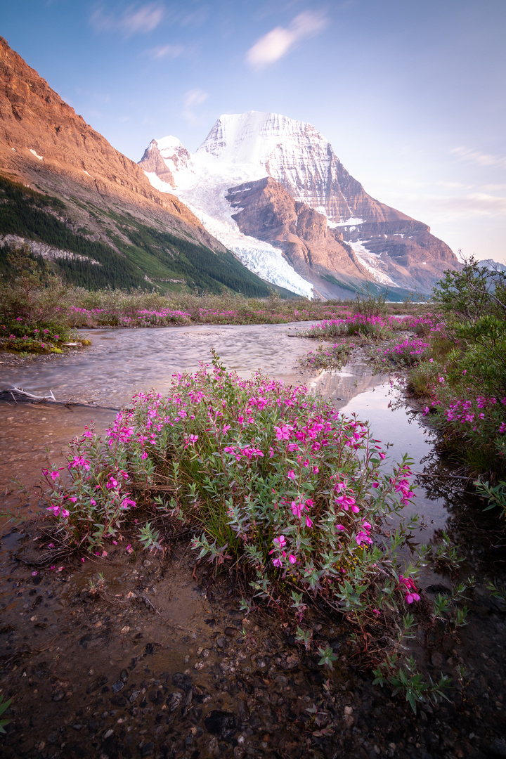 mount robson