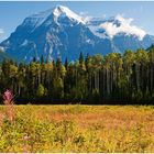 [ Mount Robson ]