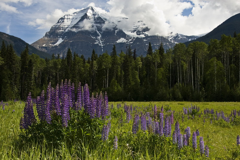 Mount Robson