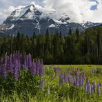 Mount Robson