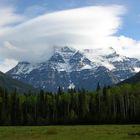 Mount Robson