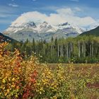 Mount Robson