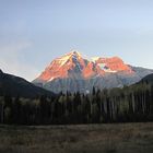 Mount Robson