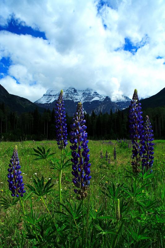 Mount Robson, Kanada