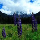 Mount Robson, Kanada