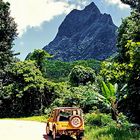 Mount Roto Nui, Moorea 