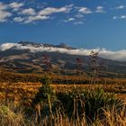 Mount Ruapehu