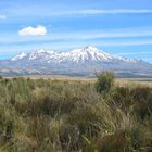 Mount Ruapehu