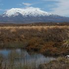 Mount Ruapehu