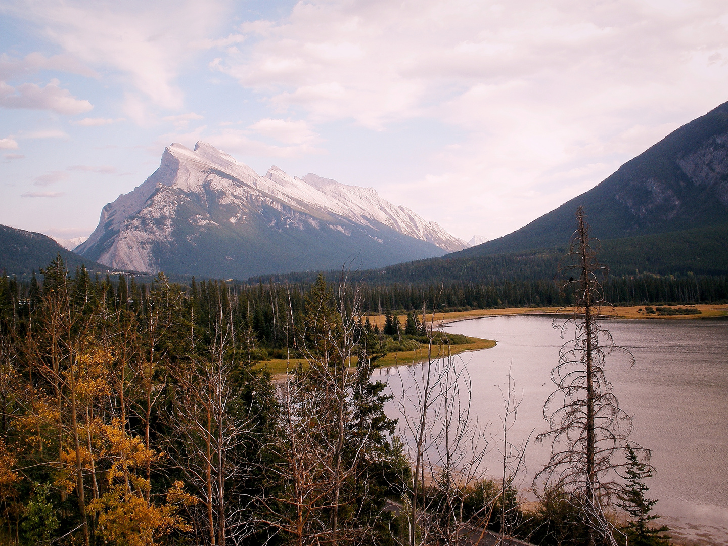 Mount Rundle in Alberta Kanada