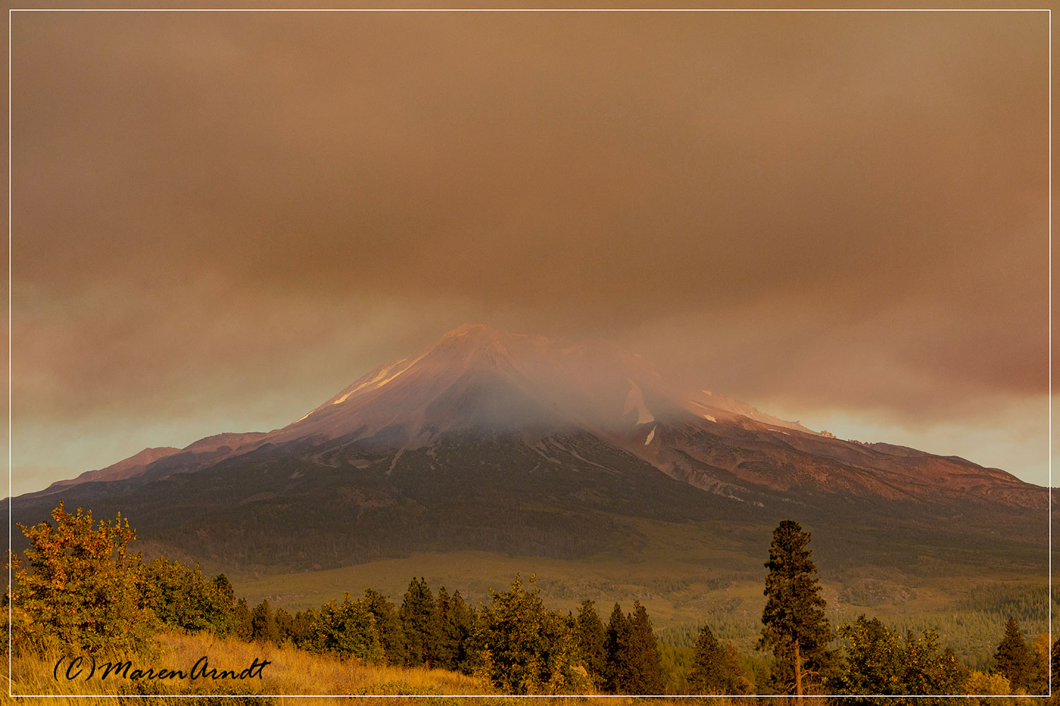 Mount Shasta