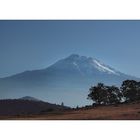 Mount Shasta