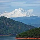 Mount Shasta